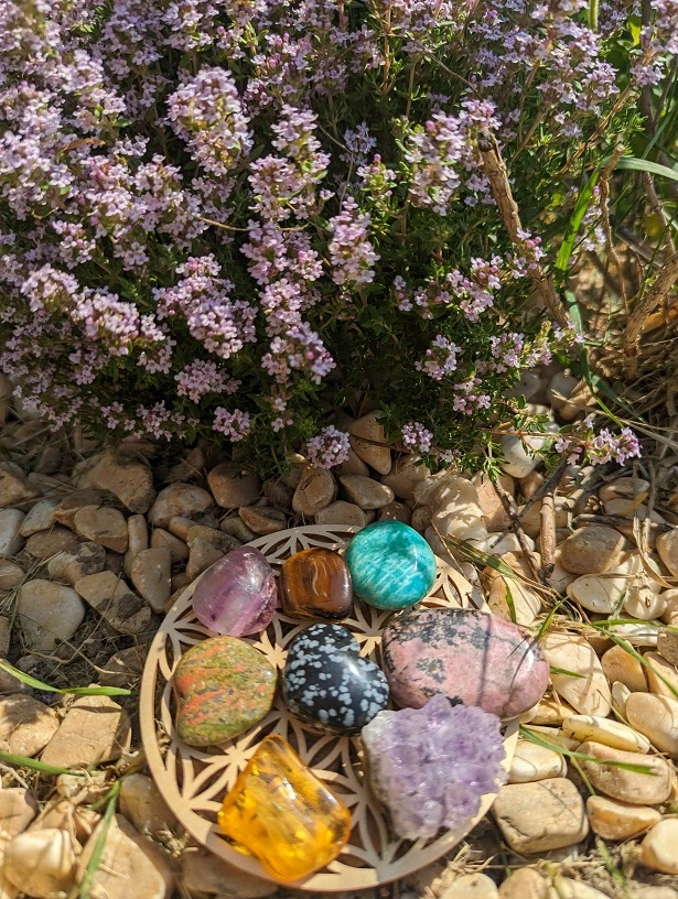 Module 1 - Les bases approfondies