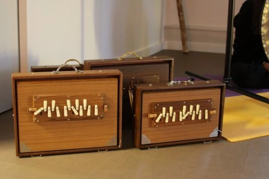 Formation Shruti Box